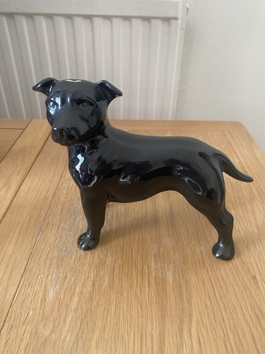 Staffordshire bull terrier - bull,