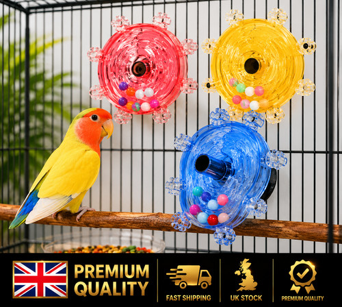 Interactive parrot foraging - parrot,