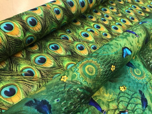 Peacock feathers digital print - peacock,