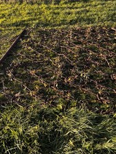 Chain Harrows Trailed Flexi Heavy Duty 9 FtLength