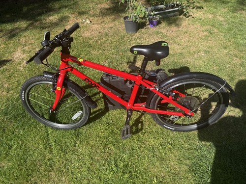 Frog red children bike - red, children's