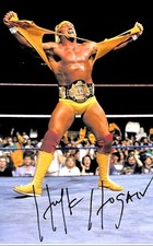 HULK HOGAN AMERICAN WRESTLER 2