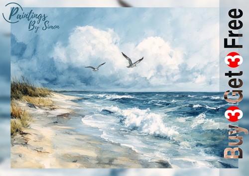 Coastal beach seagull - coastal,