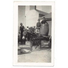 Boys Loading a Barrel onto a Donkey Cart Vintage Photograph c1930s