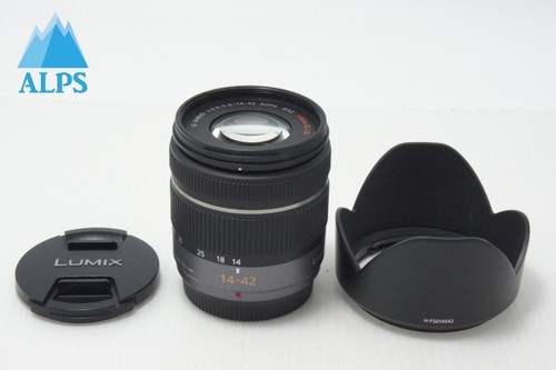 Panasonic lumix vario - g,