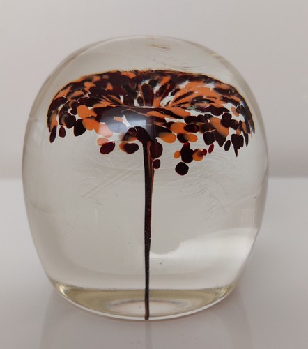 Glass paperweight avondale - glass,