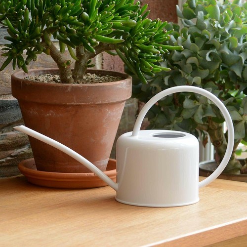 Indoor watering can chalk - watering,