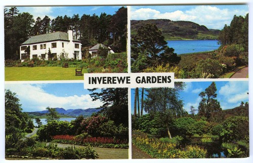 Vintage 1960s postcard - vintage,