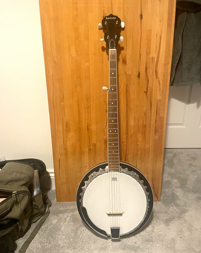 Ashbury string resonator - ashbury, 5-string