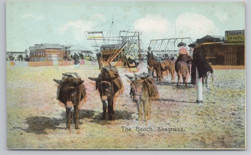 Skegness the beach donkeys - skegness,