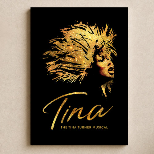Tina the musical theatre - the,