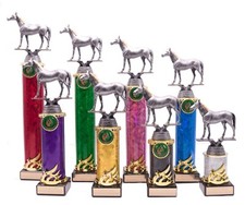 Personalised Silver Equestrian Horse Dressage Event Pony Club Column Trophy