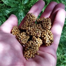 Osmocote exact plant food slow controlled release fertiliser x15 tablets 5-6 mon