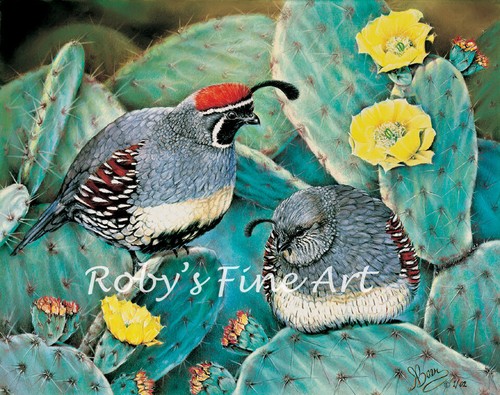Limited edition gambel quail - edition, gambel's