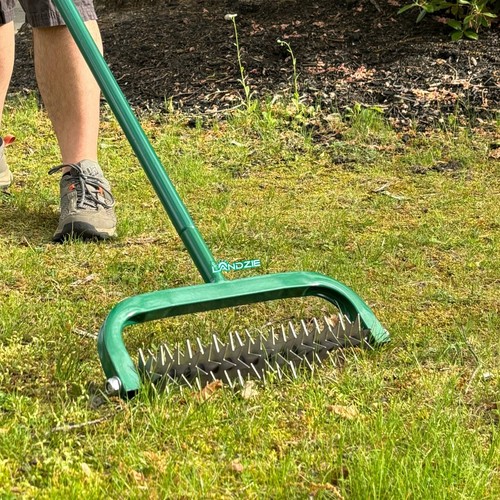 Landzie overseeder rotary - -,