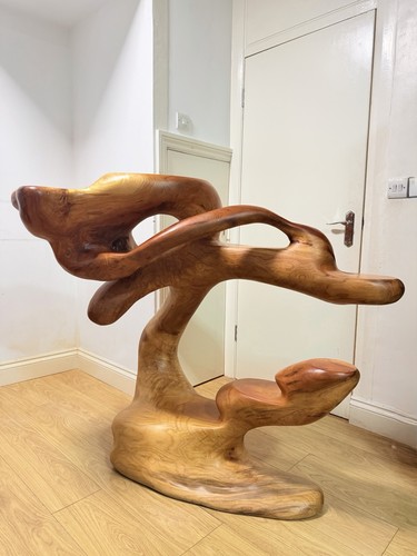 Camphor wood solid - wood, unique