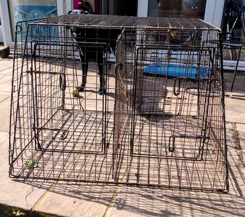 Barjo dog cage very sturdy - 'barjo',