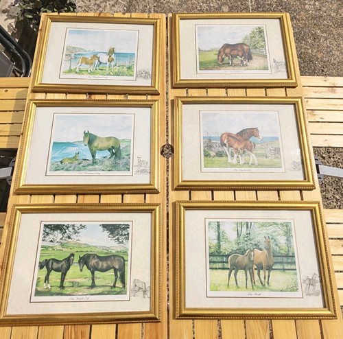 Set vintage framed horse - 6,