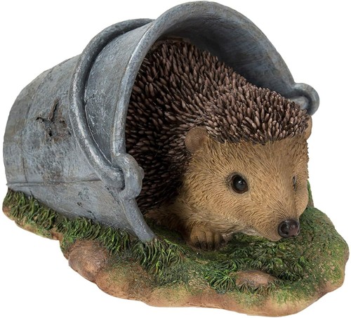 Vivid arts real life hedgehog - vivid,