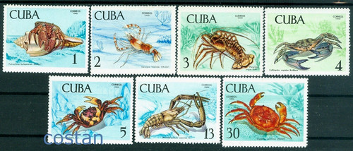1969 sea life - 1969, life,spiny
