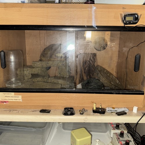 2ft reptile vivarium - 2ft,