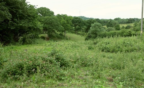 Photo 12x8 pasture land near - 12x8,