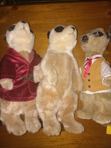 Meerkat plush toys keel - toys,