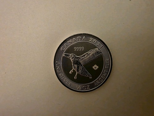 2021 half red tailed hawk - oz,