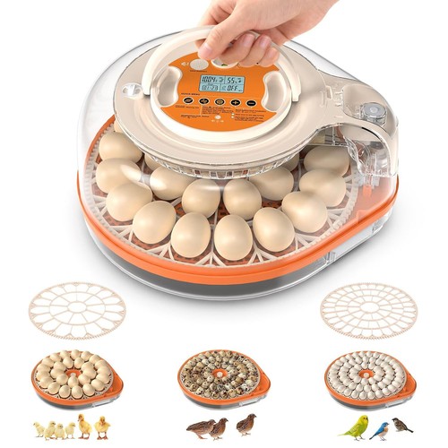 26x eggs incubator - 26x,