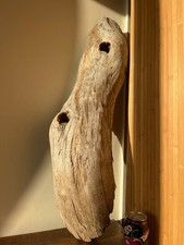 Driftwood Piece  silver  rounded logBogwood  for  vivarium, or Display