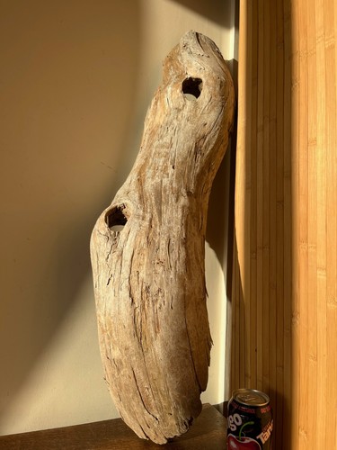 Driftwood piece silver - ,