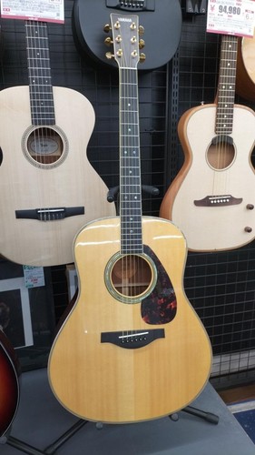 Yamaha ll16m acoustic - yamaha,