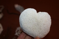 Fab Vintage Collection Natural Coral Red White Some Big Curio Display Fish tank