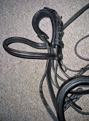 Passier double bridle - passier,
