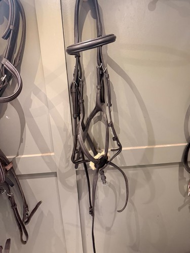 Ecorider grackle bridle full - grackle,