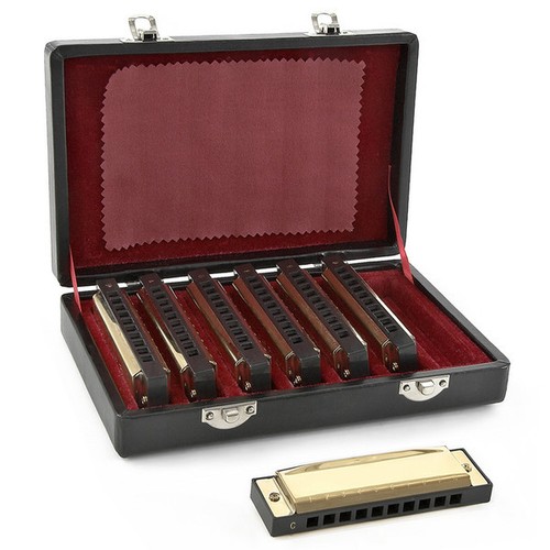 Blues golden harmonica set - harmonica,