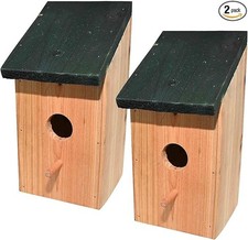 Ram© 2 X Wooden Wood Bird