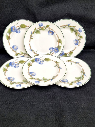 Wedgwood blue delphi - 6,