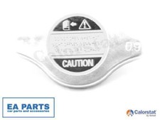 Sealing Cap, radiator