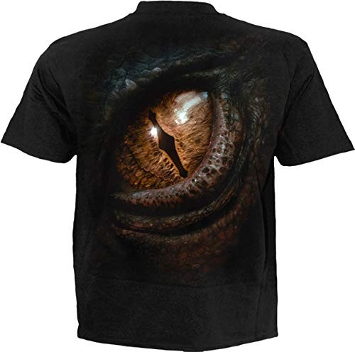 Studio the hobbit smaug - the,