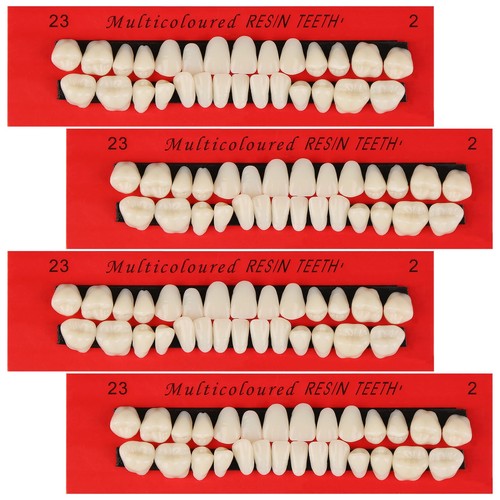 Sets acrylic resin false - 4,