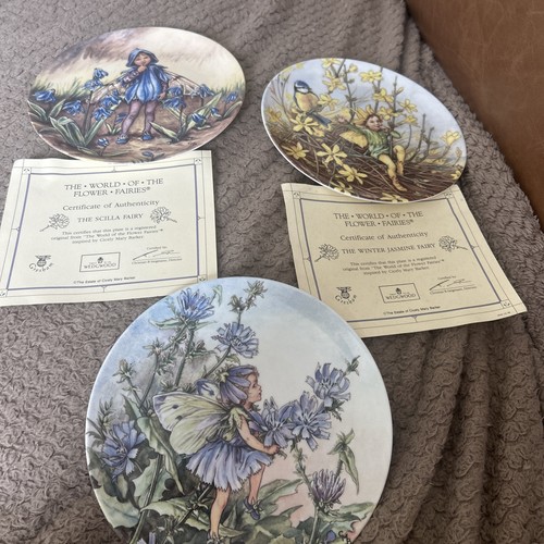 Wedgwood the world - 3,