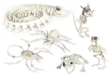 HALLOWEEN SKELETON DECORATION