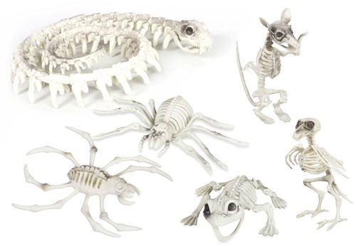 Halloween skeleton decoration - halloween,