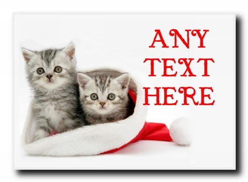 Lovely kittens christmas - lovely,