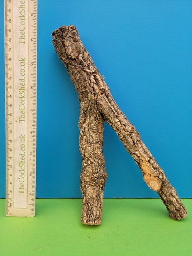 Cork bark branch - bark,
