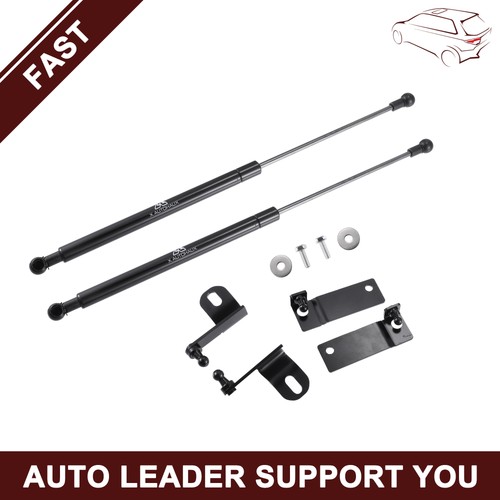 Piece hood lift supports - lift,