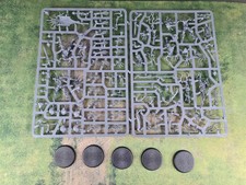 AOS  - Dryad Tree Revenants/