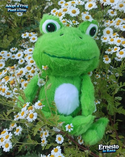 Cute green frog plush toy - cute,