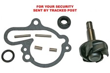 Yamaha TZR50 water pump repair